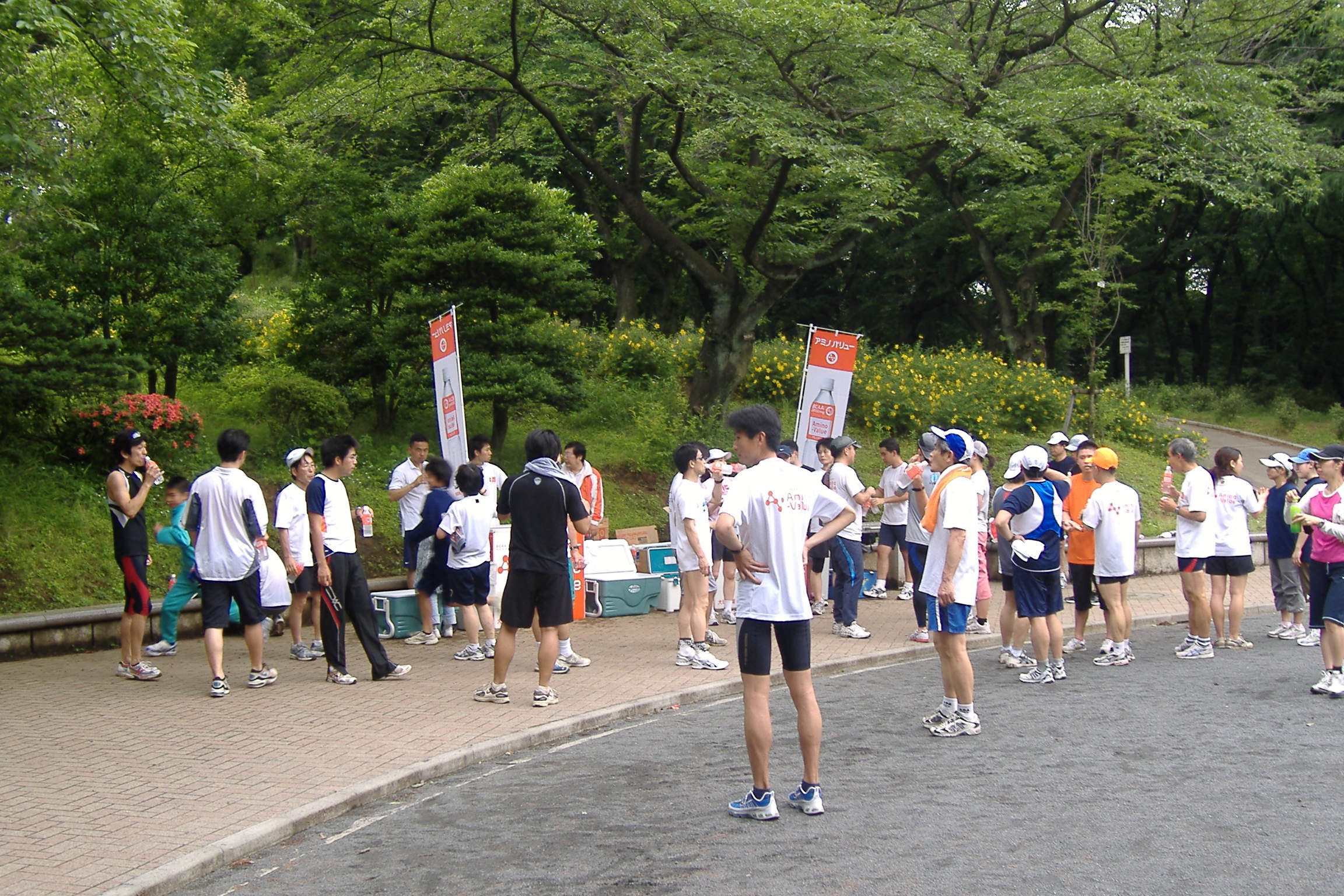 04.jpg