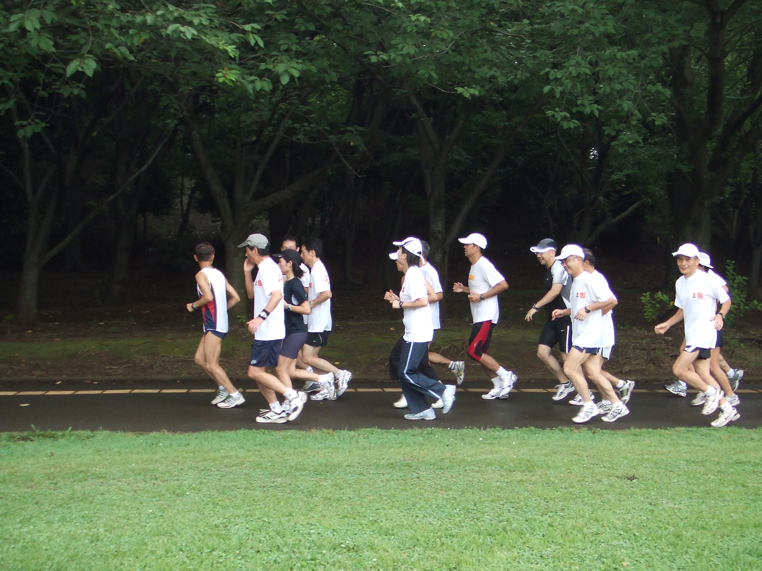 06.jpg