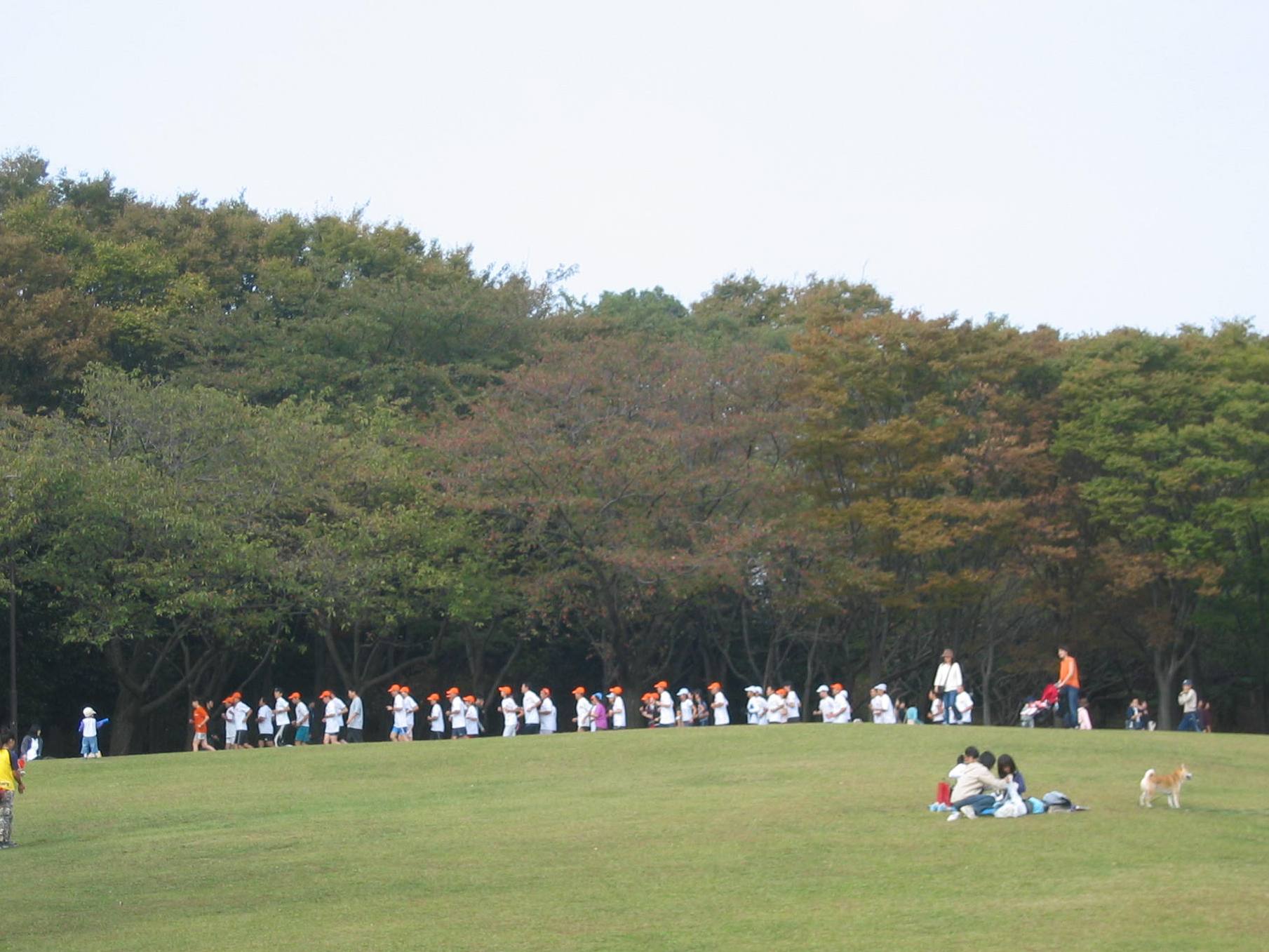 07.jpg