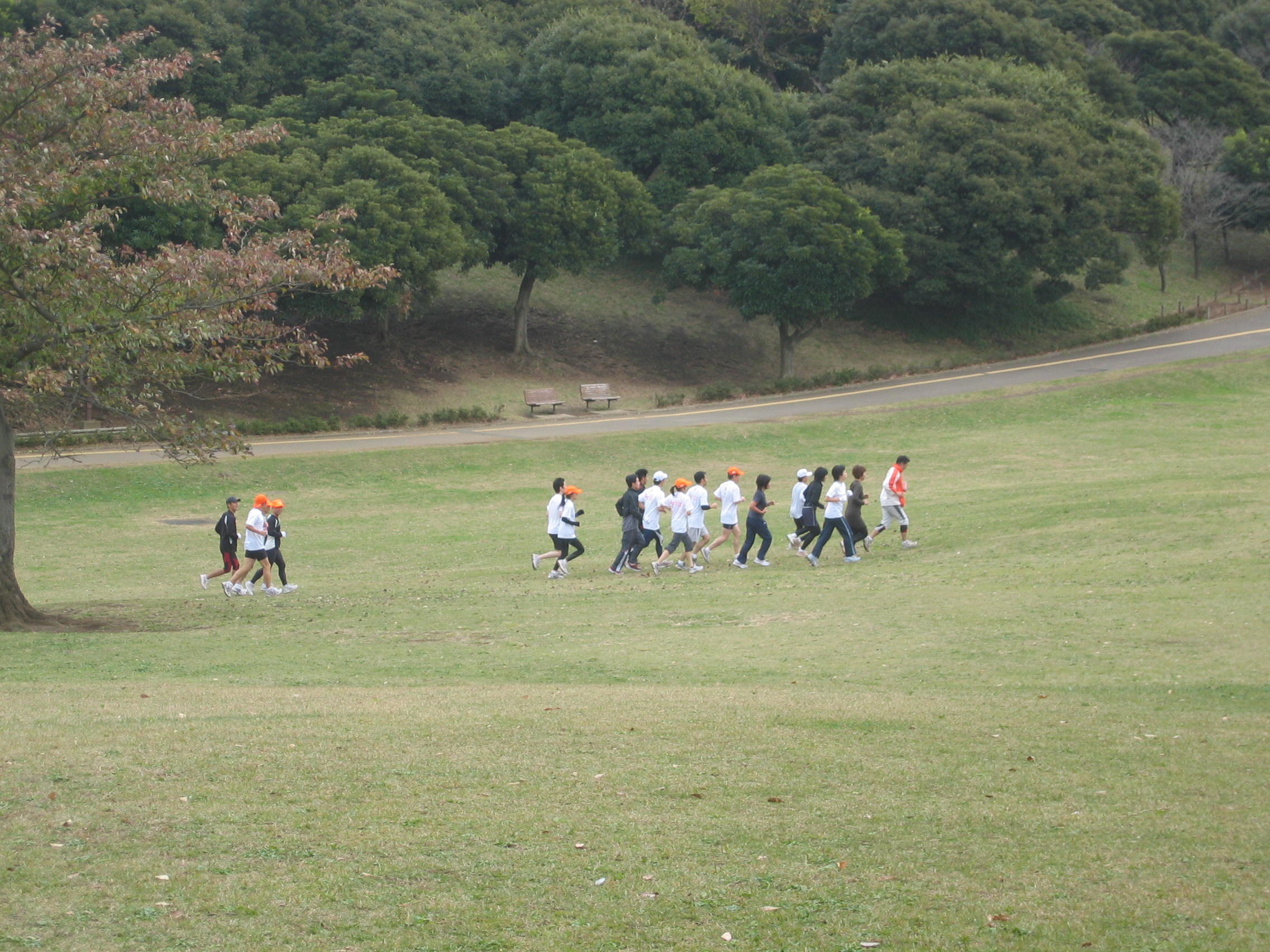 08.jpg