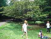thumb_dsc00145.jpg