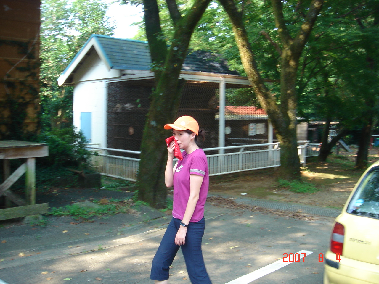 dsc00062.jpg