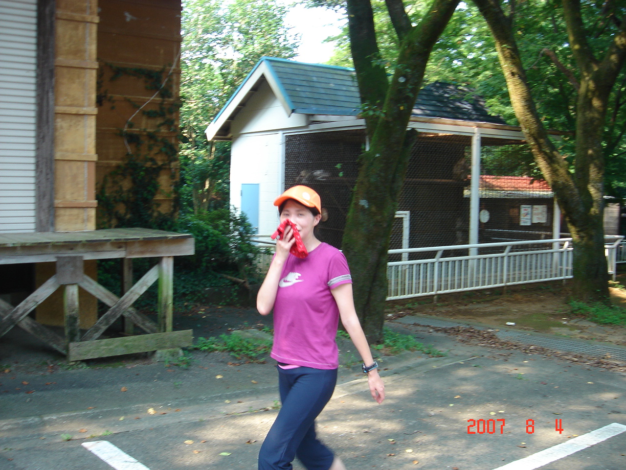 dsc00063.jpg