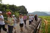 thumb_dsc00022.jpg
