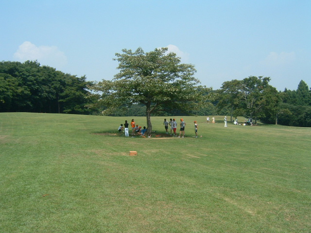 dscf1106.jpg