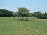 thumb_dscf1106.jpg