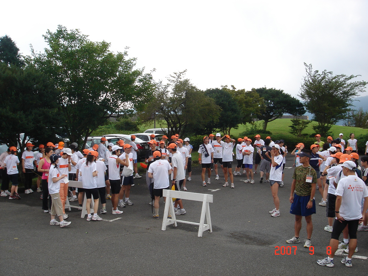 dsc00203.jpg