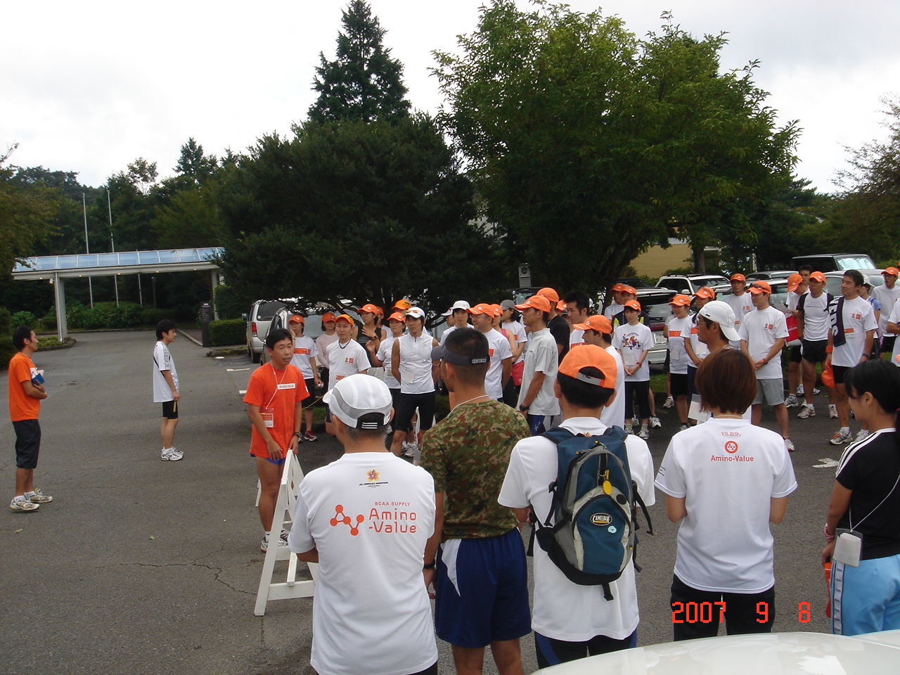 dsc00206.jpg