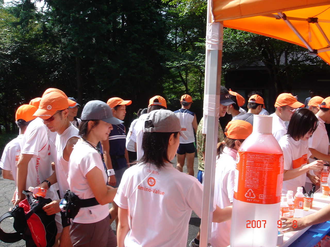 dsc00256.jpg