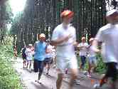 thumb_dsc00272.jpg