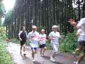 thumb_dsc00274.jpg