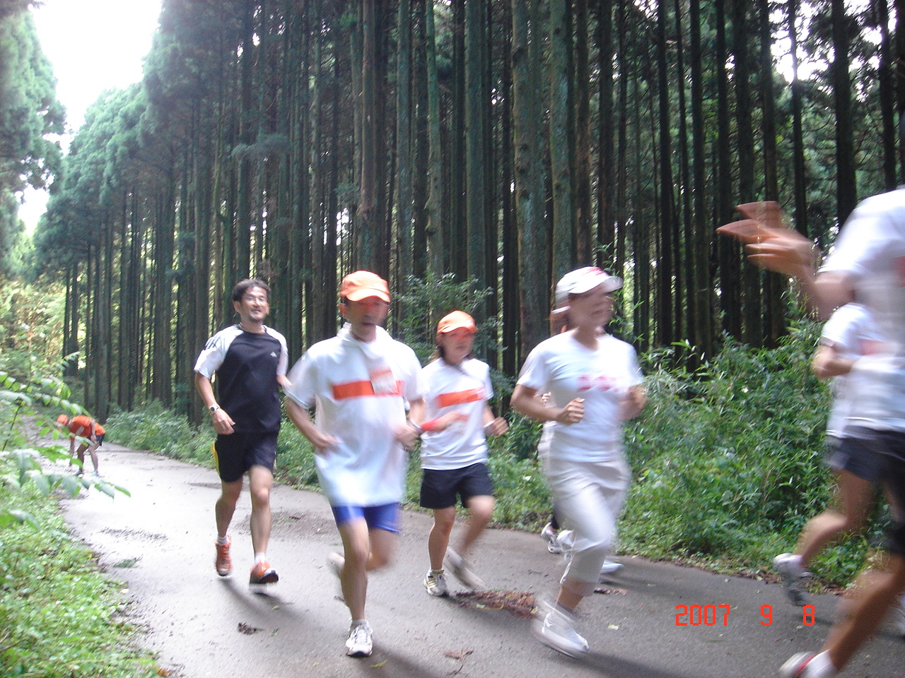 dsc00274.jpg