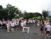 thumb_dsc00203.jpg