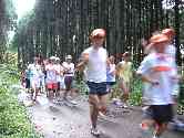 thumb_dsc00269.jpg