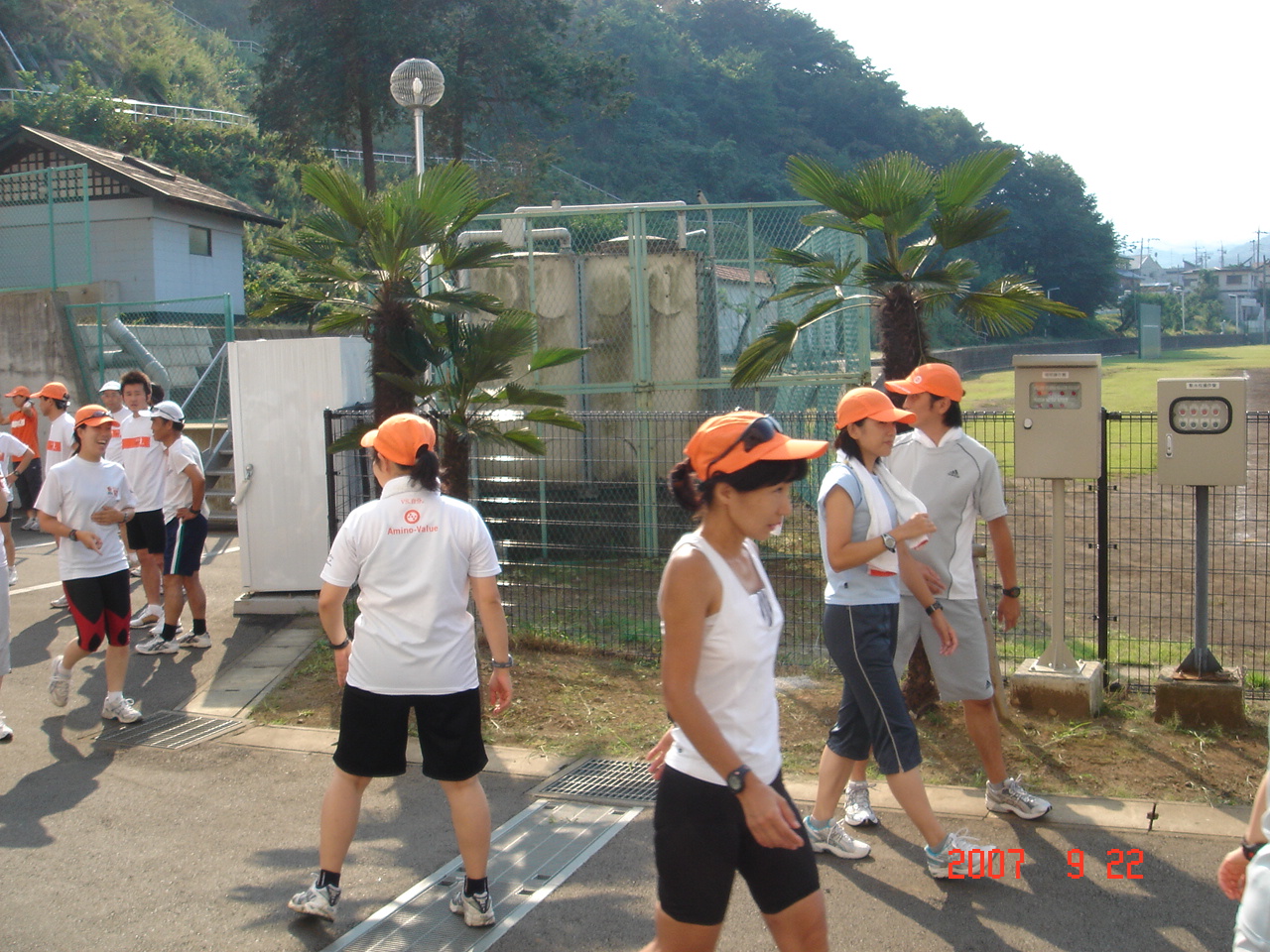 dsc00252.jpg