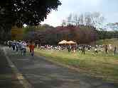 thumb_cimg0781.jpg