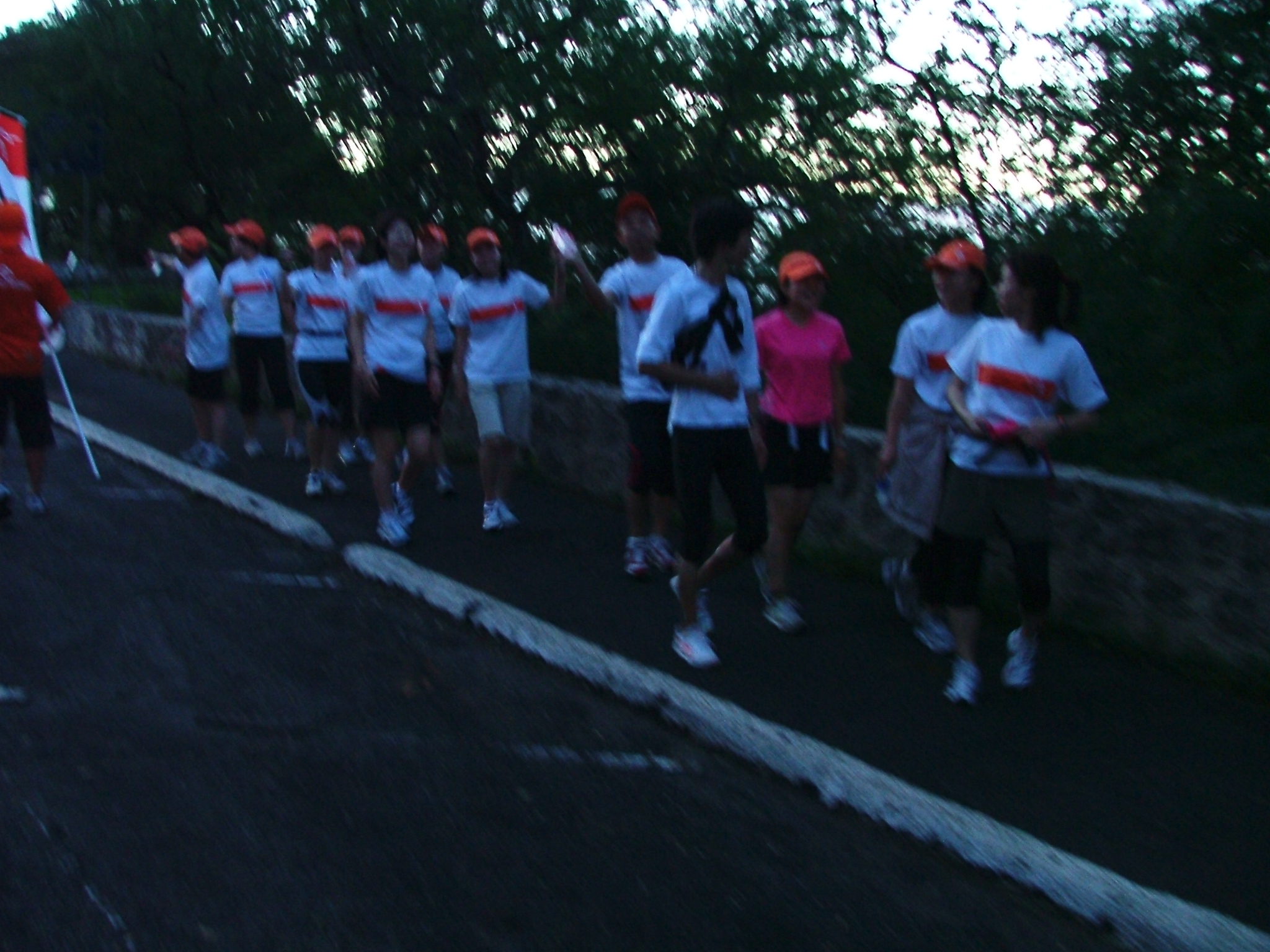 honoruru1_018.jpg