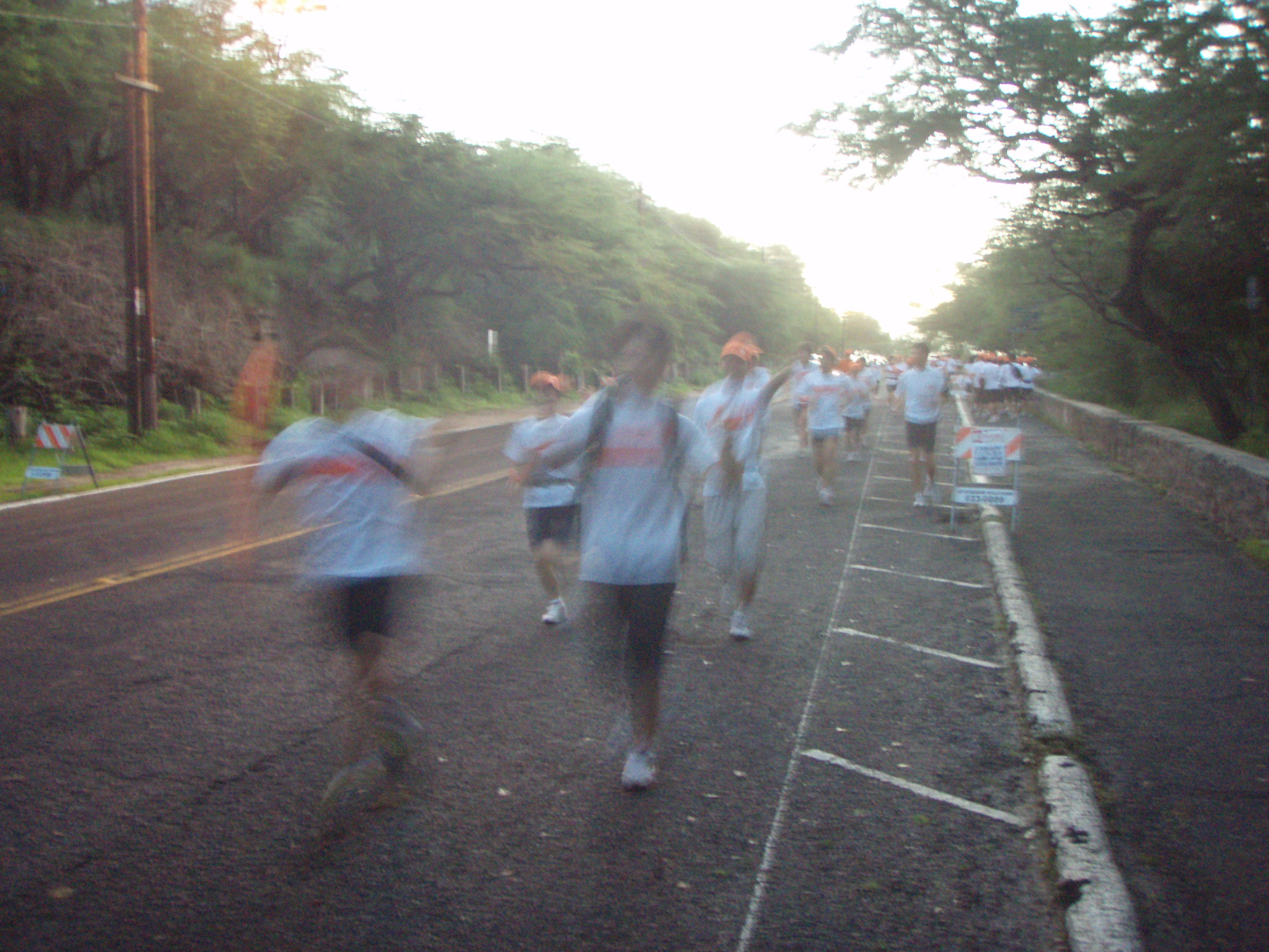 honoruru1_022.jpg