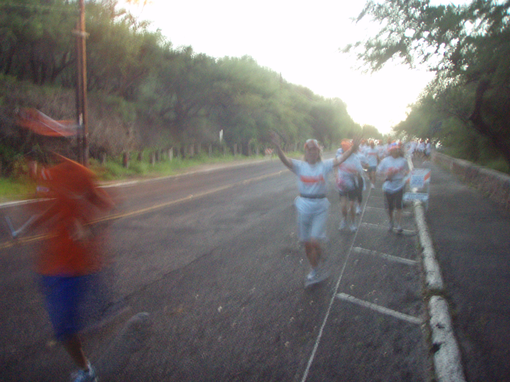honoruru1_025.jpg