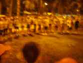 thumb_honoruru3_011.jpg