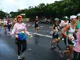 thumb_honoruru5_023.jpg