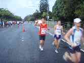 thumb_honoruru5_034.jpg