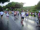 thumb_honoruru5_067.jpg