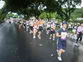 thumb_honoruru5_071.jpg