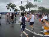 thumb_honoruru5_082.jpg