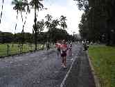 thumb_honoruru6_010.jpg