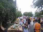 thumb_honoruru6_015.jpg